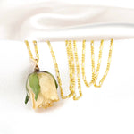 Echte Rosen Anhänger - Cremeweiss - 925 Sterling Gold Vergoldete Halskette - K925-36
