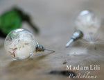 Elegant Pusteblumen Earplugs-Terrarium Botanical Nature Jewelry-VINOHR-40