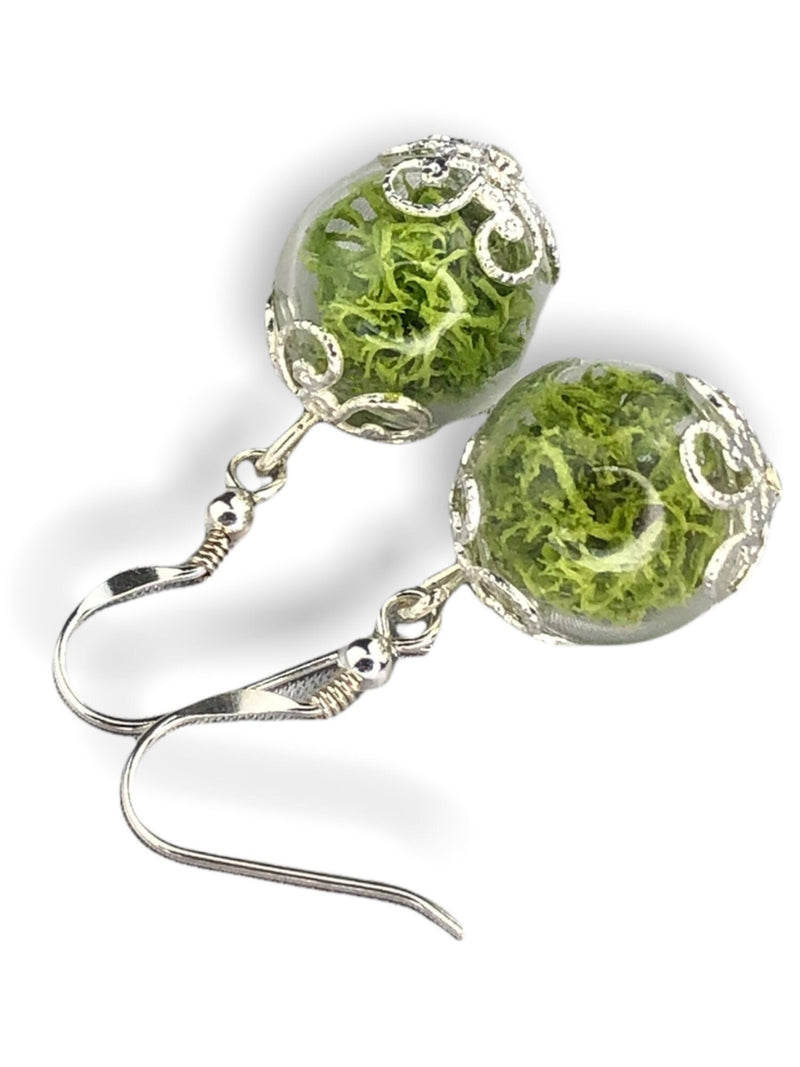 Real Moos Örhängen - 925 Sterling Silver Smycken - Botaniska Terrarium Örhängen - Ear925-10