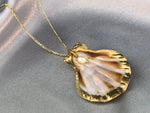 925 Sterling Gold Gold Gold chain with shell and freshwater pearl -K925-111