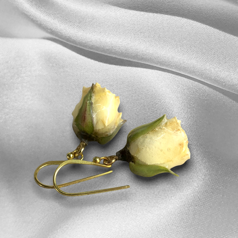 Echte Kleine Rosen Ohrringe - Zartgelb - 925 Sterling Gold Vergoldet - OHR925-127
